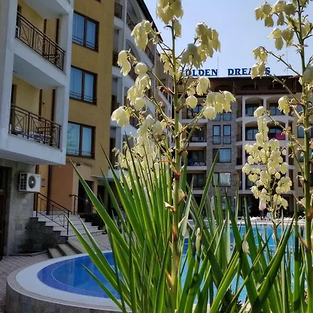 Apartment Golden Dreams *